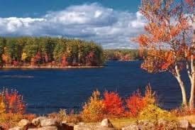 Lake Shoreline Autumn Foliage in Auburn, NH
