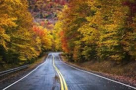 Wooded Country Road Fall Foliage in Derry, NH