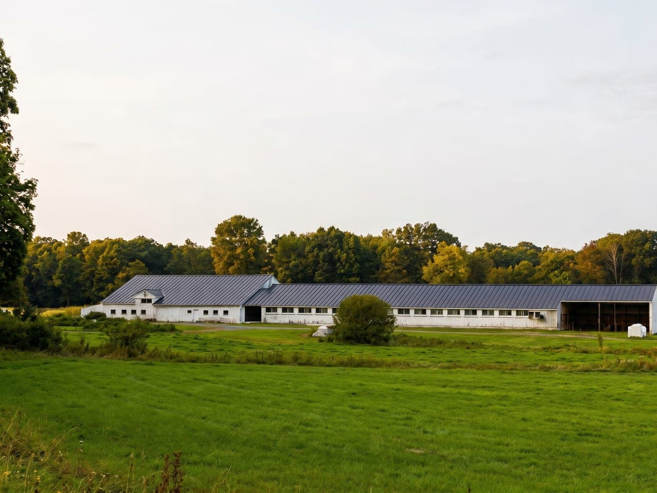 Shaw Farm Family Dairy Barn And Hayfields in Dracut, MA