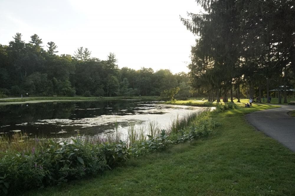 Benson Park in Hudson, NH