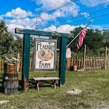 Peach Tree Farms in Salem, NH