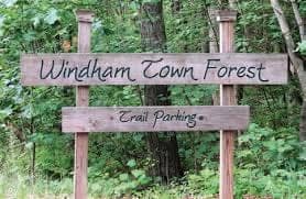 Windham Town Forest in Windham, NH