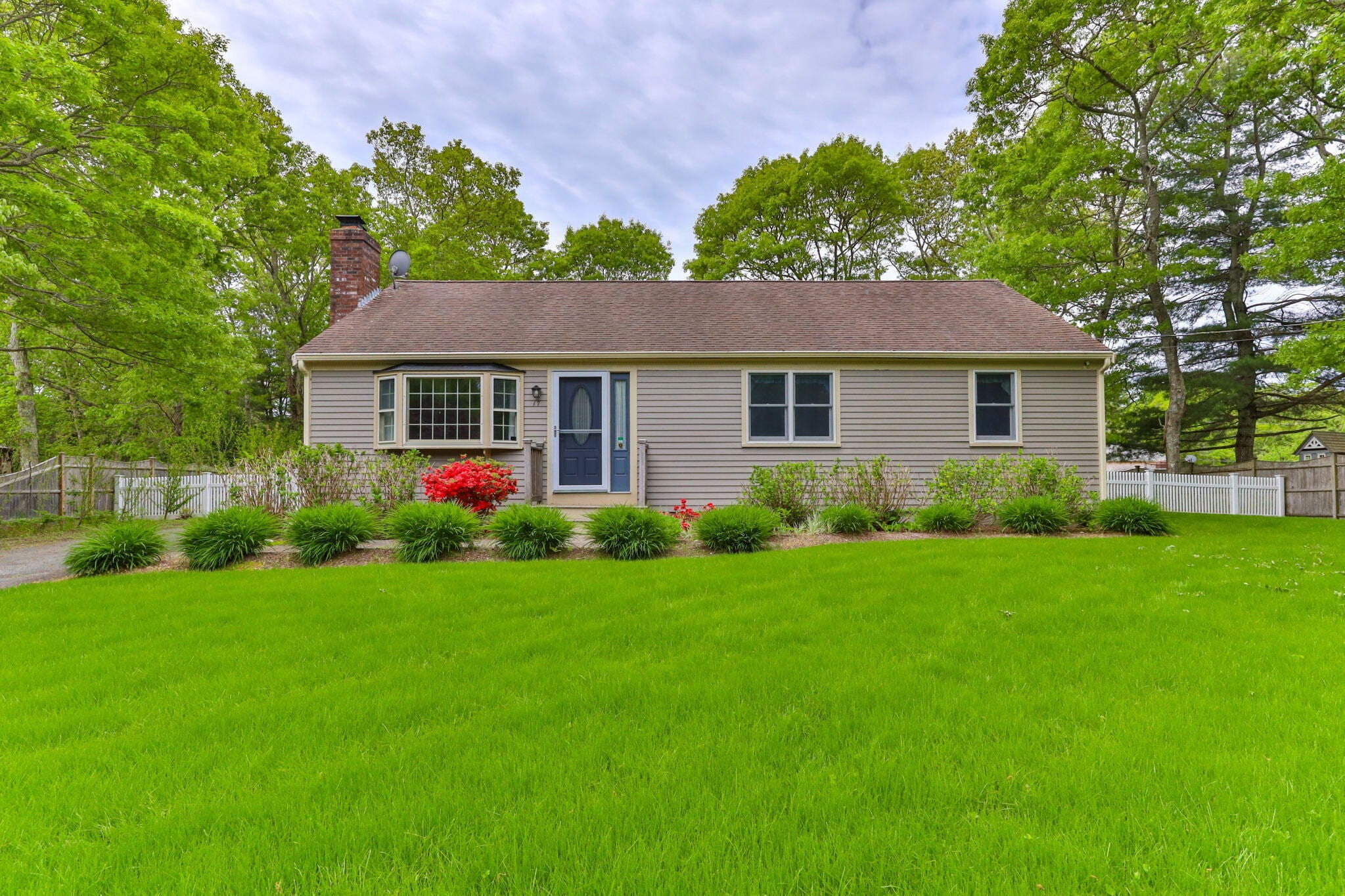 Single-story ranch home with a green lawn and flowering shrubs