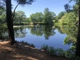 Russell Mill Pond and the rail trail give the town genuine open space in Chelmsford, MA
