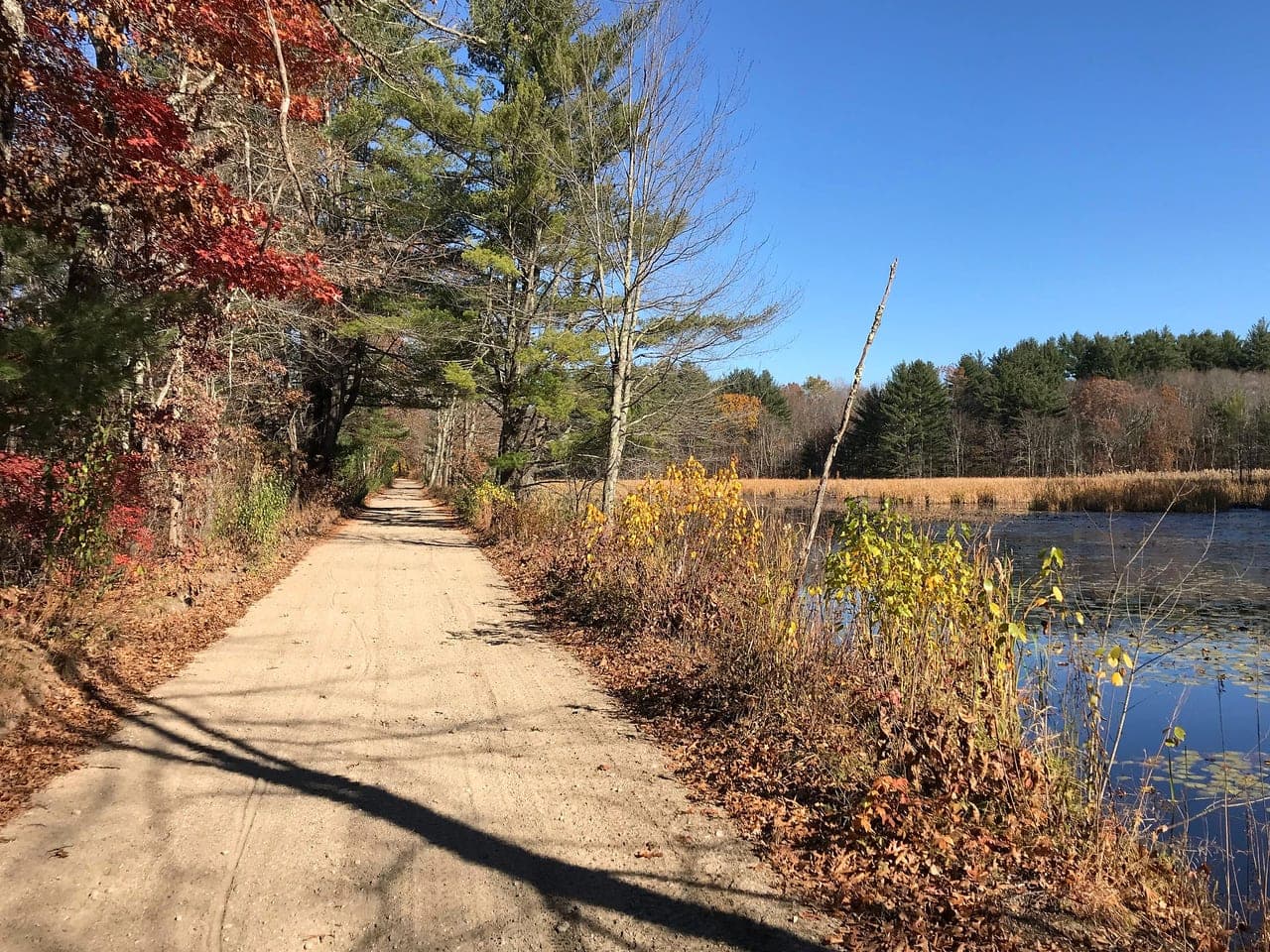 Rockingham Recreational Trail autumn