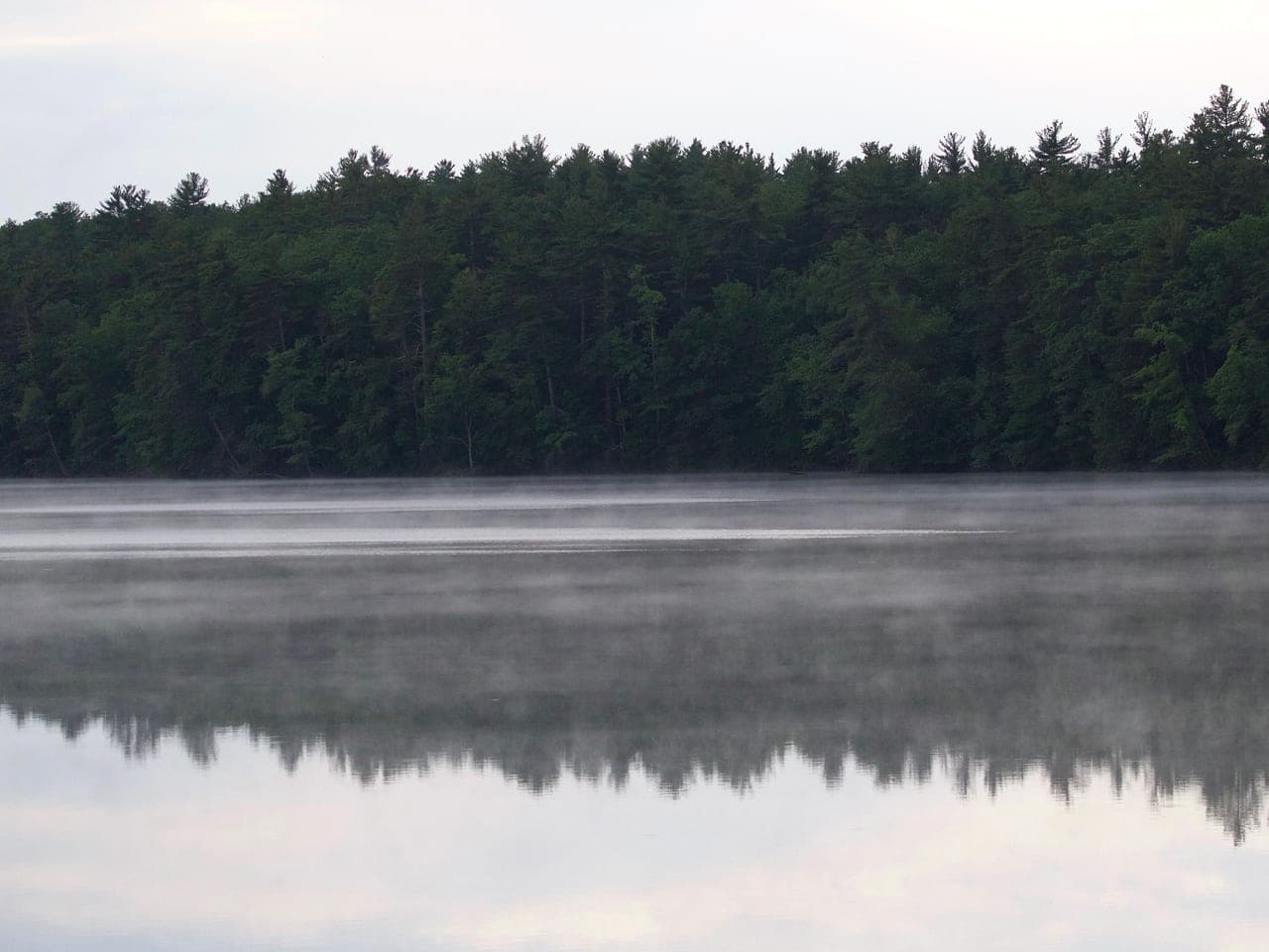 Morning, Big Island Pond