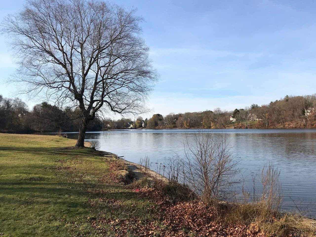 Lake Saltonstall, Plug Pond