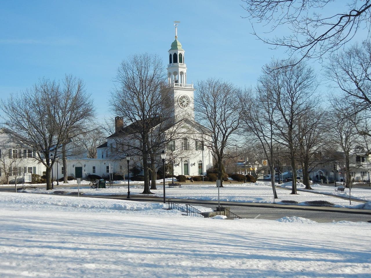 Reading Common winter