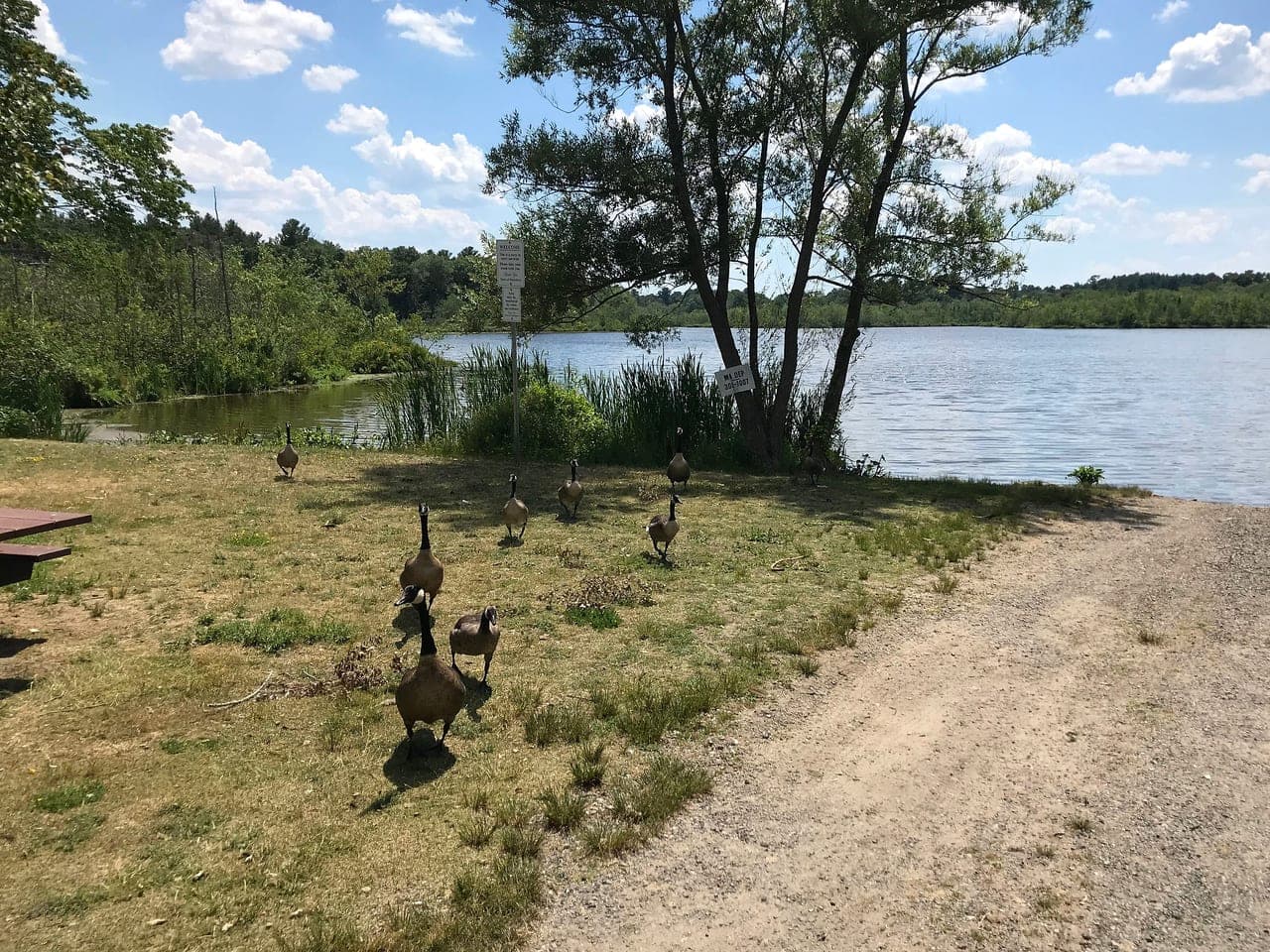 Long Pond
